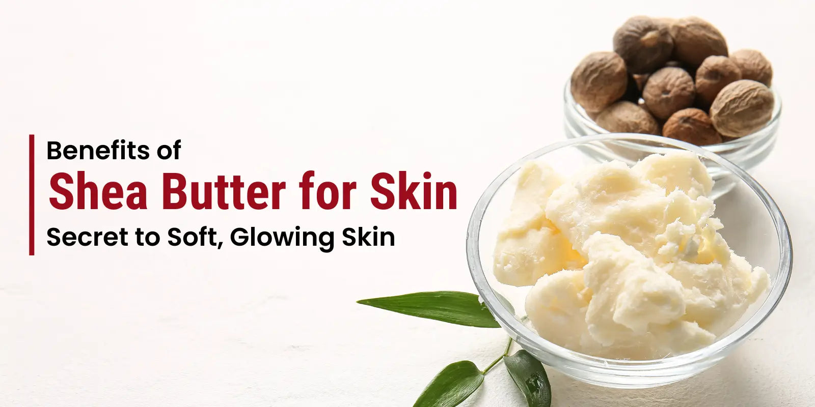 Benefits of Shea Butter for Skin: Secret to Soft, Glowing Skin