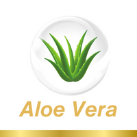 Aloe Vera – A botanical boost for healthy skin