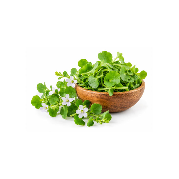Brahmi