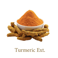 Turmeric Extract- Ayurvedic Skin Care Product