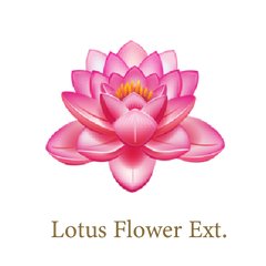 Lotus Flower Extract- Ayurvedic Skin Care Ingredient