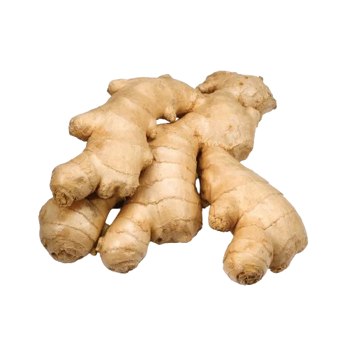 GINGER