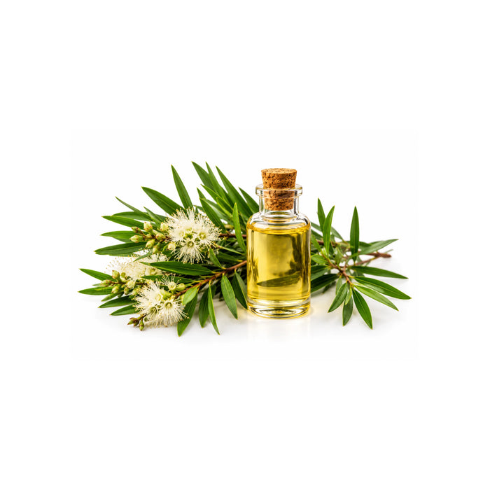 TEA TREE OIL