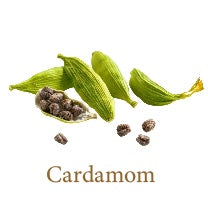 Cardamom- Ayurvedic Skin Care Ingredient