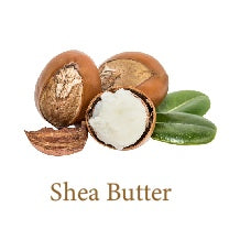 Shea Butter- Ayurvedic Skin Care Ingredient