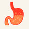 Supports overall digestive balance and wellness