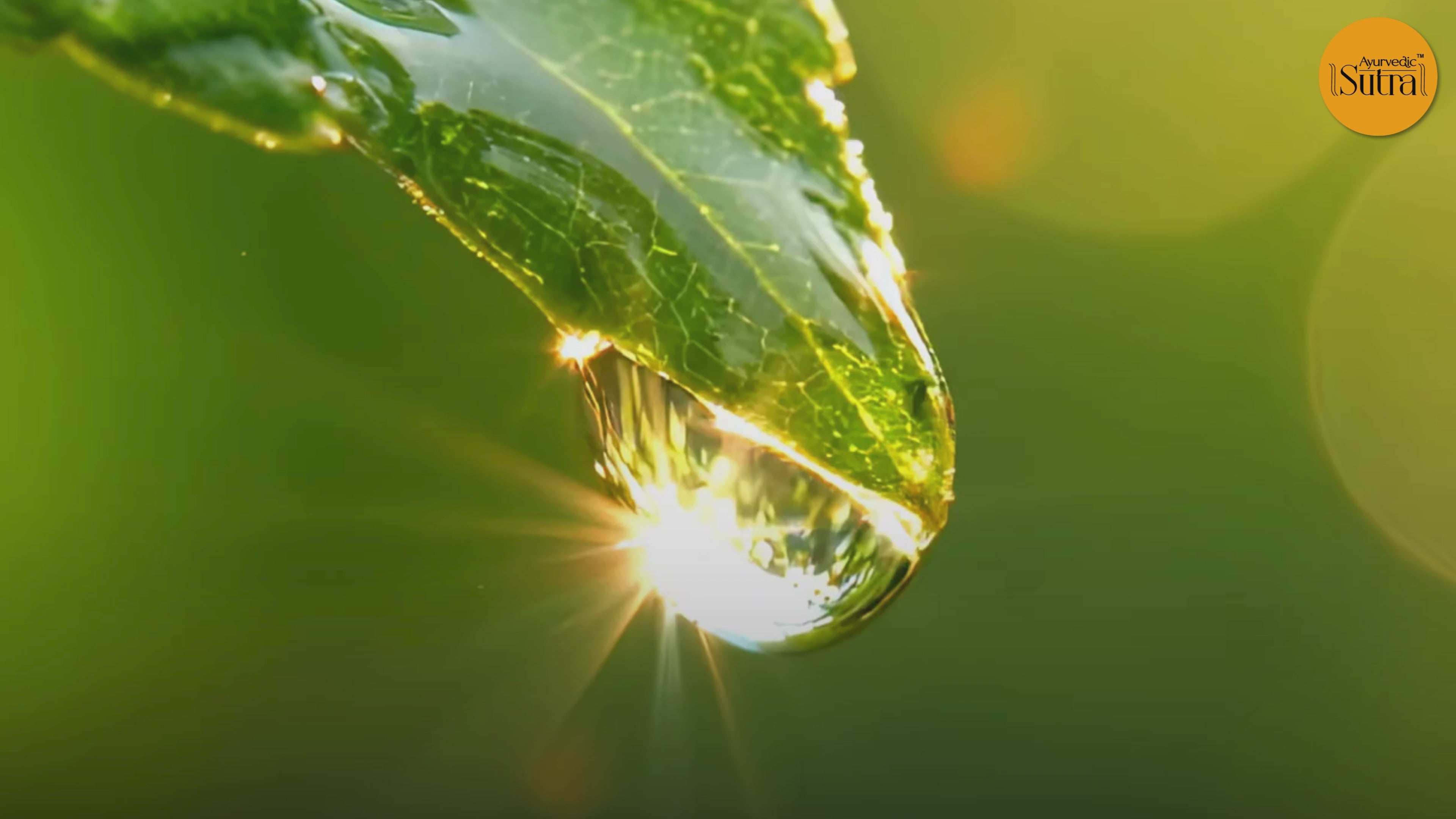 Ayurvedic Sutra Brand Video